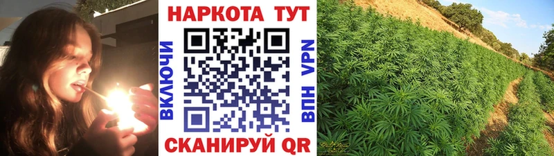 Наркошоп купить Бошки Шишки  МЕФ  Гашиш  Кологрив