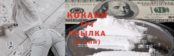прущая мука Горняк