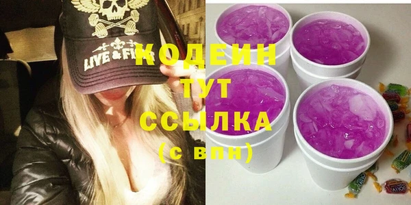 мдпв Горно-Алтайск