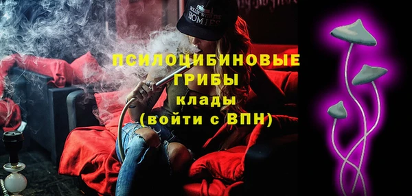 мдпв Горно-Алтайск